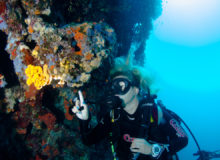 Search and Recovery Diver