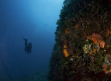 Deep Diver Speciality Course
