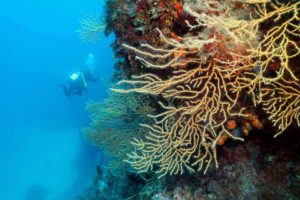 Hvar Diving Center